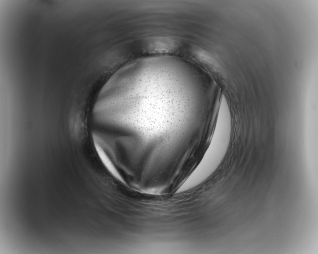 X0000088440743200706051248