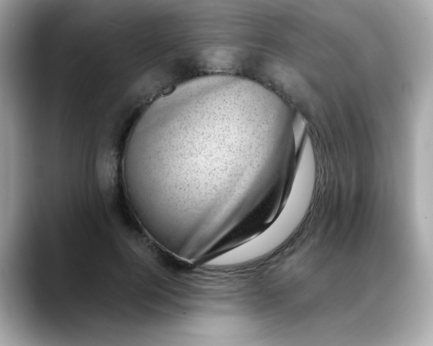 X0000088440744200706051248