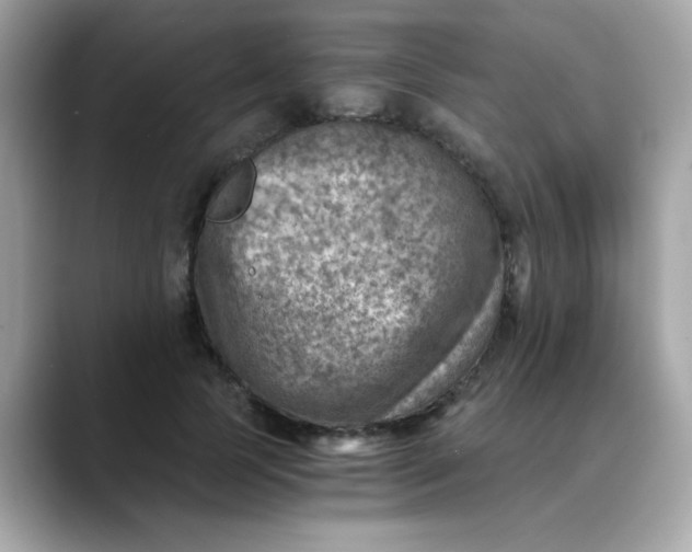 X0000088440745200706051248