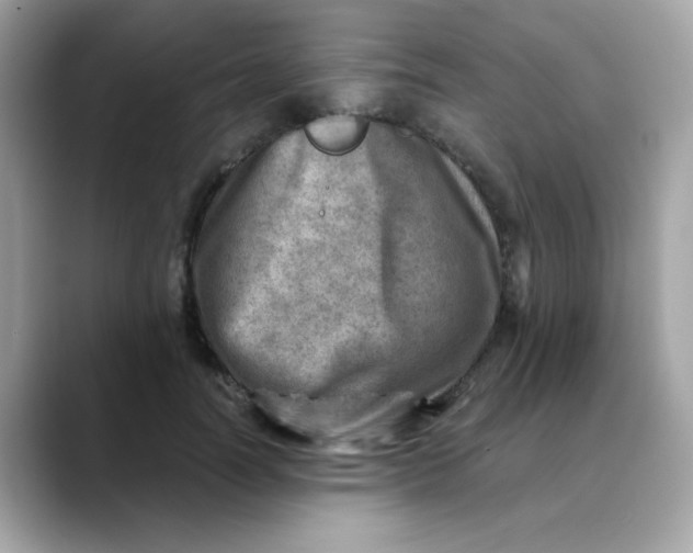 X0000088440746200706051248