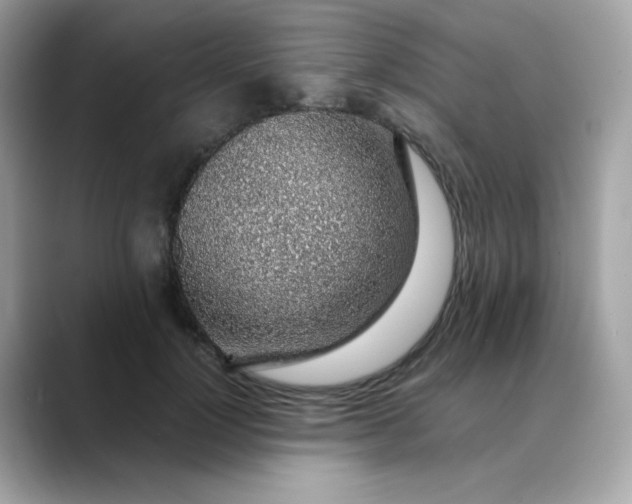 X0000088440748200706051248