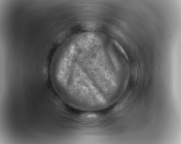 X0000088440749200706051248
