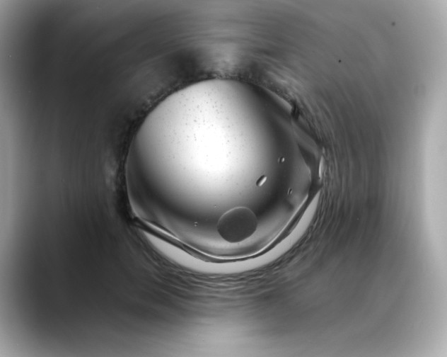 X0000088440750200706051248