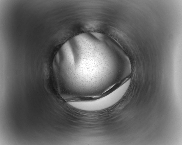X0000088440751200706051248