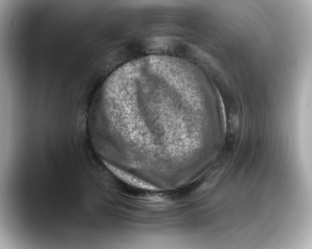 X0000088440753200706051248