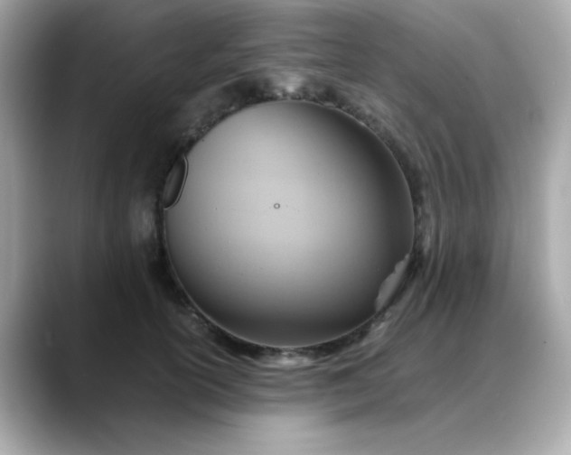 X0000088440754200706051248