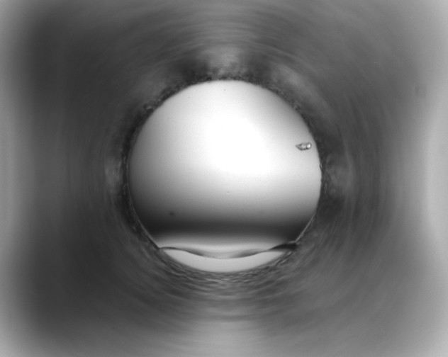 X0000088440756200706051248