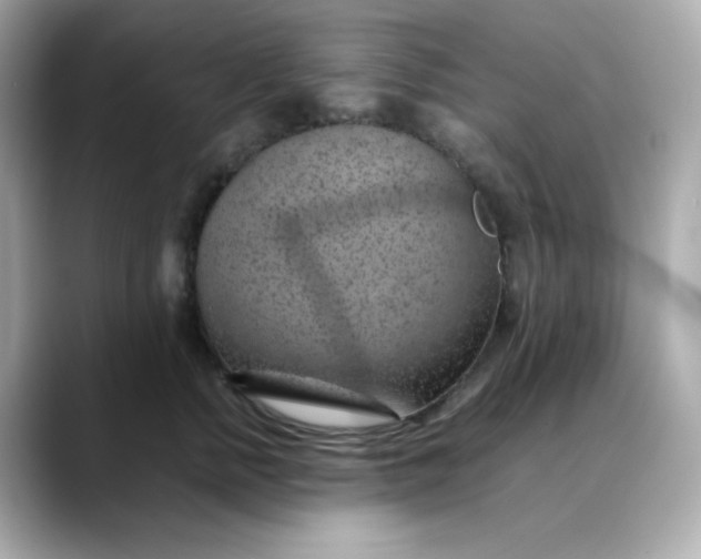 X0000088440758200706051248