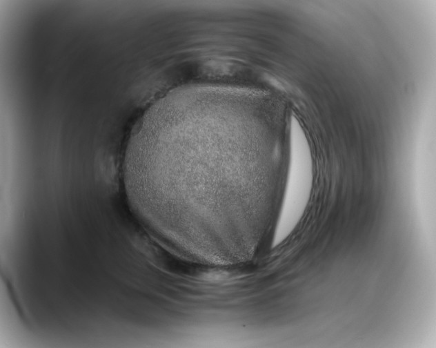 X0000088440759200706051248