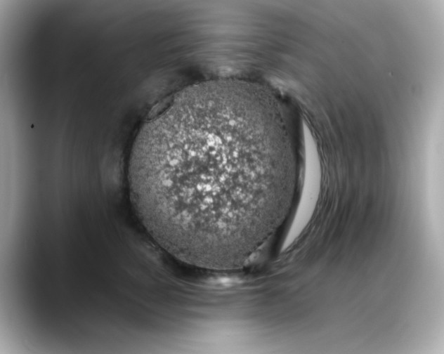 X0000088440760200706051248