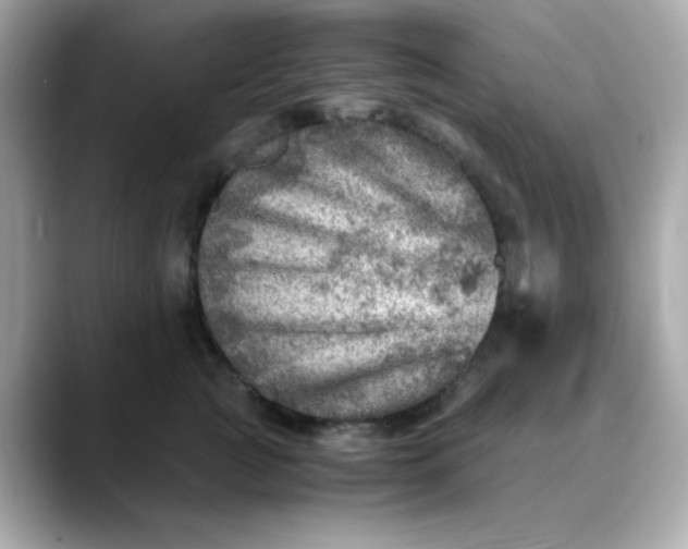 X0000088440761200706051248