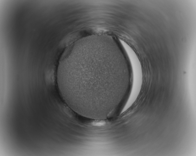 X0000088440762200706051248