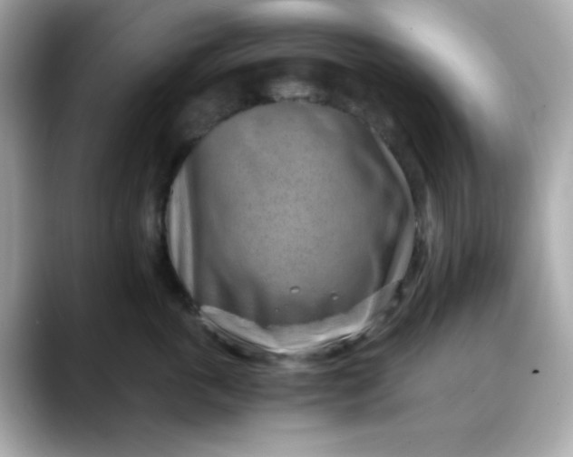 X0000088440763200706051248