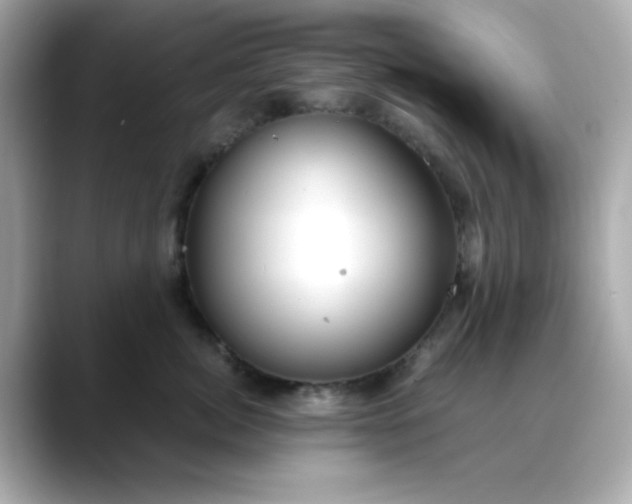 X0000088440764200706051248