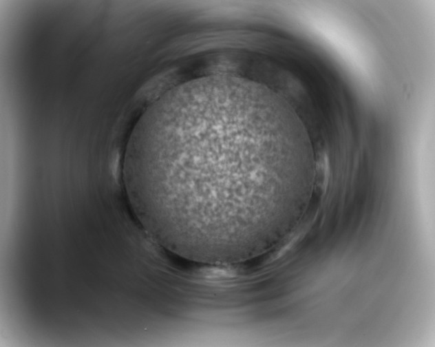 X0000088440765200706051248