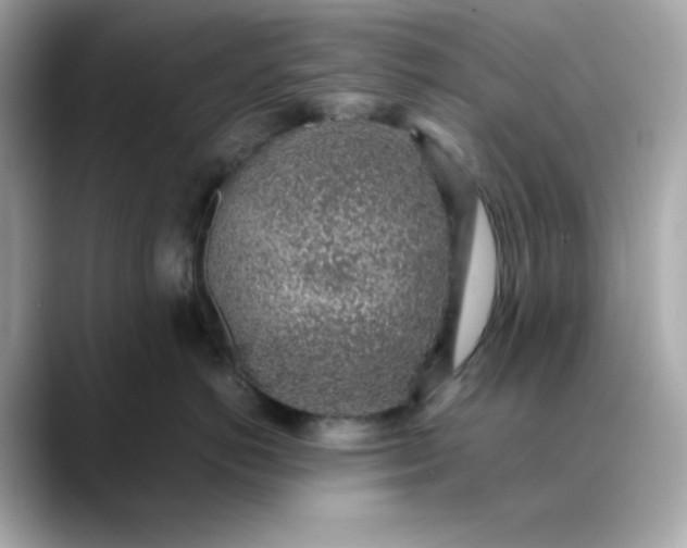 X0000088440766200706051248
