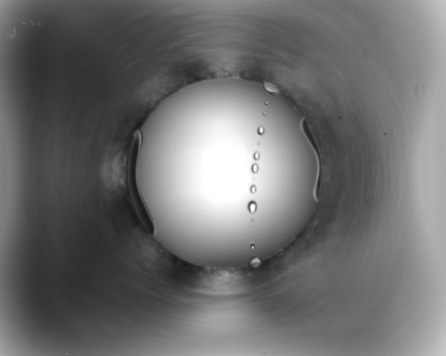 X0000088440768200706051248