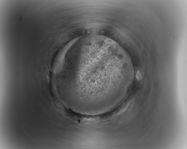 X0000088440771200706051247