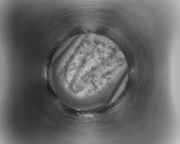 X0000088440772200706051247