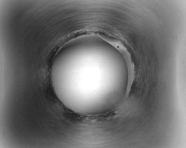 X0000088440773200706051247