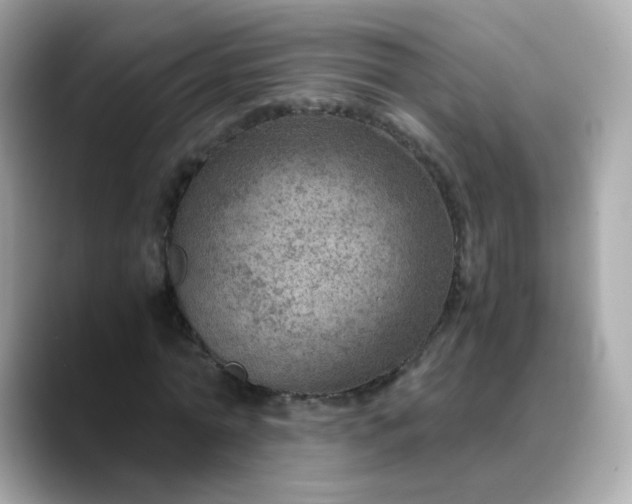 X0000088440774200706051247