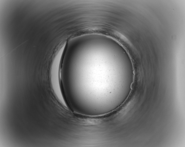 X0000088440777200706051247