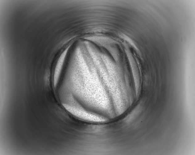 X0000088440778200706051247