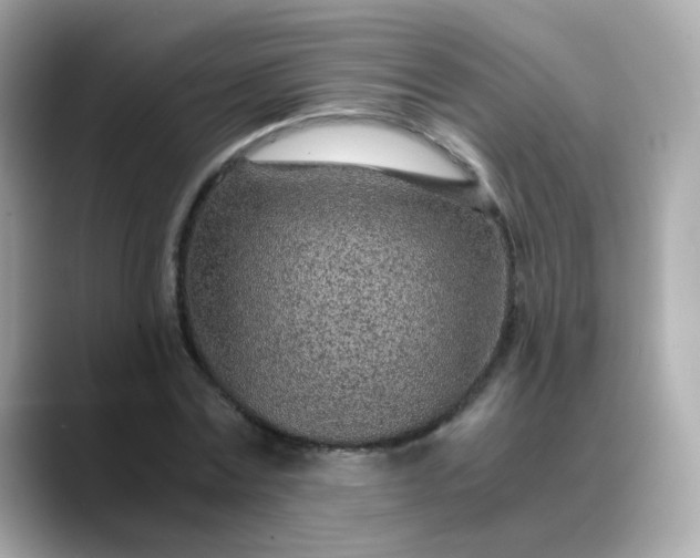 X0000088440779200706051247