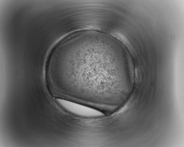 X0000088440780200706051247