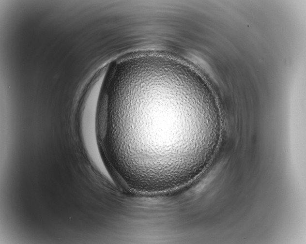 X0000088440781200706051247