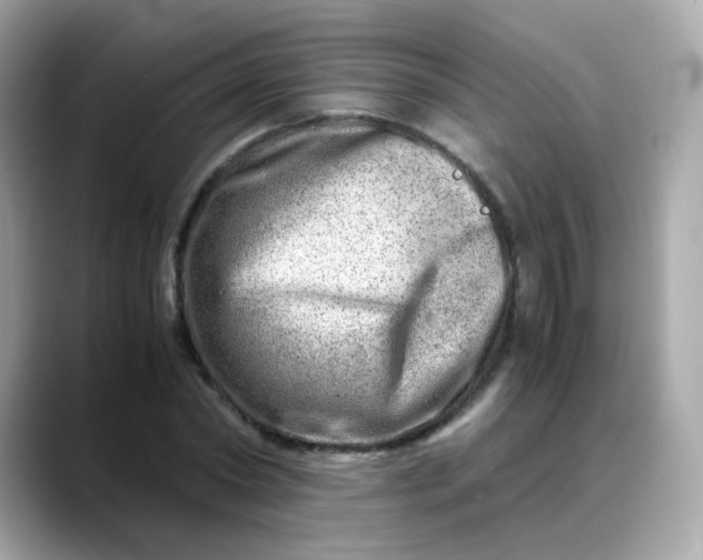 X0000088440782200706051247
