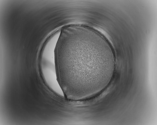 X0000088440783200706051247