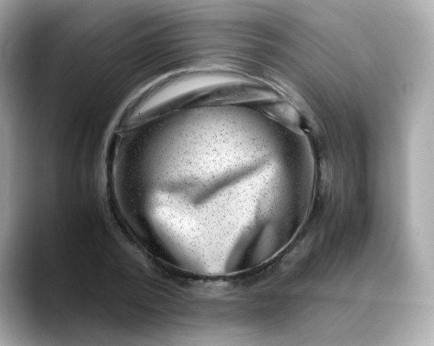 X0000088440784200706051247