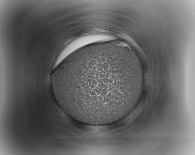 X0000088440785200706051247