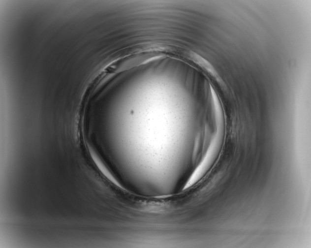 X0000088440786200706051247
