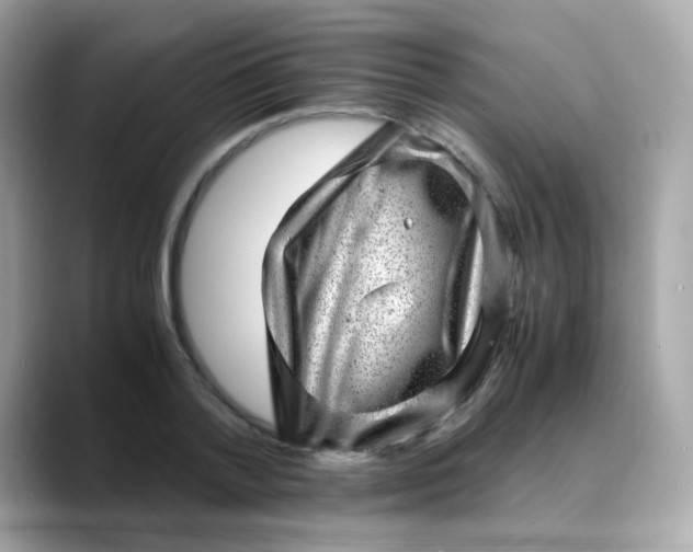 X0000088440788200706051247