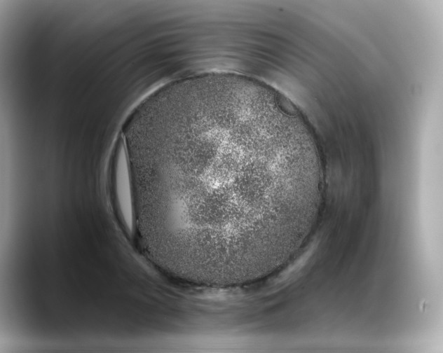 X0000088440790200706051247