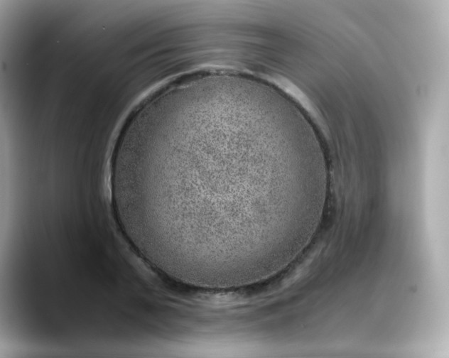 X0000088440791200706051247