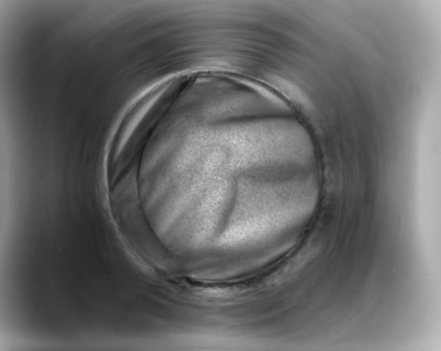 X0000088440792200706051247