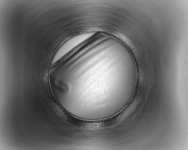 X0000088440793200706051247