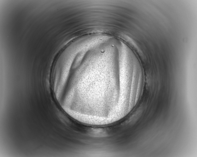 X0000088440794200706051247