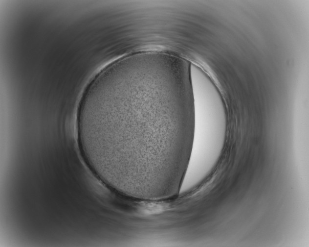 X0000088440795200706051247
