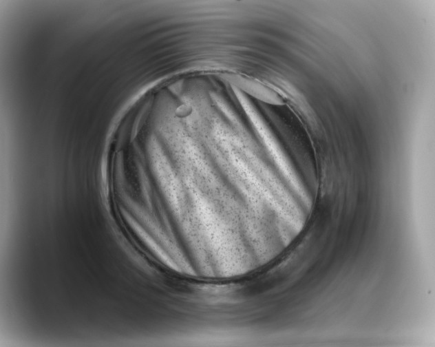 X0000088440796200706051247