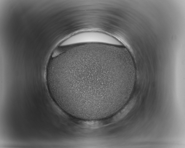 X0000088440797200706051247
