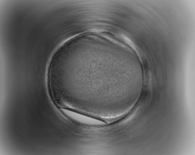 X0000088440803200706051247