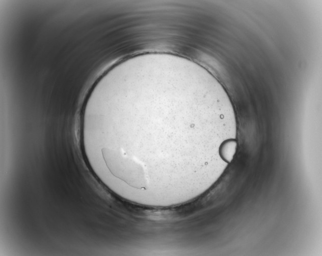 X0000088440804200706051247