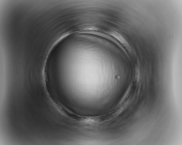 X0000088440806200706051247