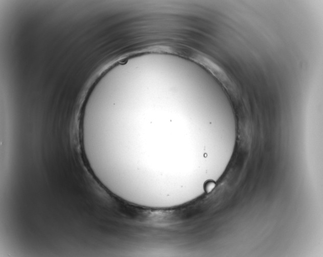 X0000088440808200706051247