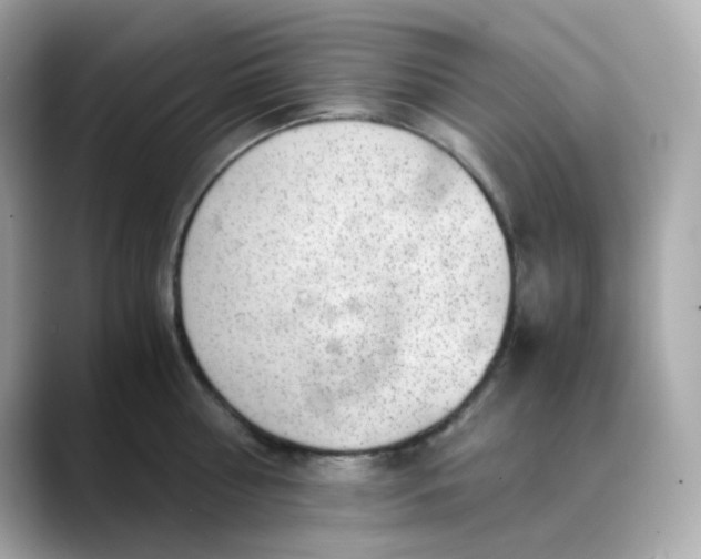 X0000088440810200706051247