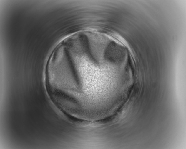 X0000088440811200706051247